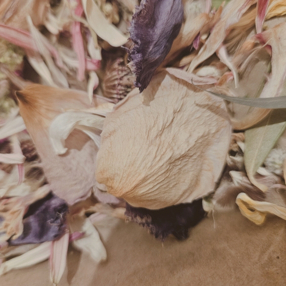 Hand-dried Black Ribbon on Floral Petal Arrangement - Picture 15 of 16